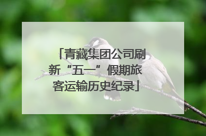 青藏集团公司刷新“五一”假期旅客运输历史纪录