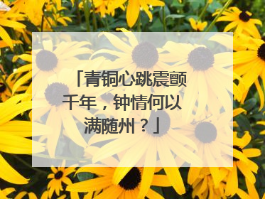 青铜心跳震颤千年，钟情何以满随州？