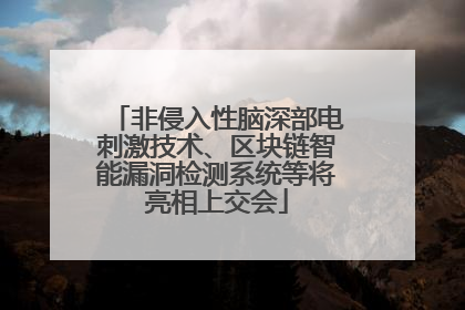 非侵入性脑深部电刺激技术、区块链智能漏洞检测系统等将亮相上交会