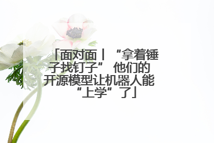 面对面丨“拿着锤子找钉子” 他们的开源模型让机器人能“上学”了