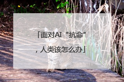 面对AI“抗命”，人类该怎么办