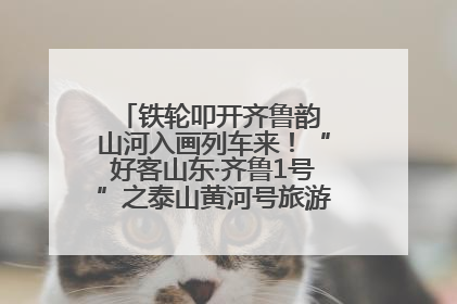 铁轮叩开齐鲁韵 山河入画列车来！“好客山东·齐鲁1号”之泰山黄河号旅游列车首发活动侧记