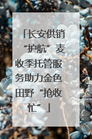长安供销“护航”麦收季托管服务助力金色田野“抢收忙”