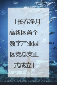 长春净月高新区首个数字产业园区党总支正式成立