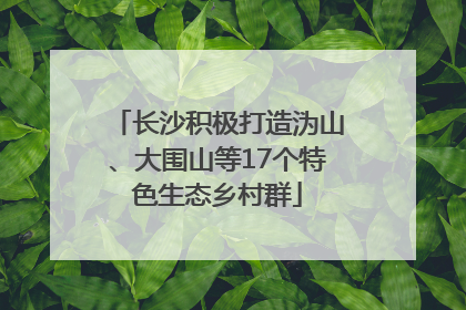 长沙积极打造沩山、大围山等17个特色生态乡村群