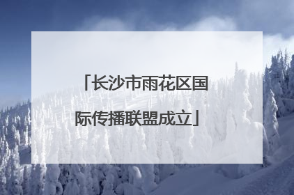 长沙市雨花区国际传播联盟成立