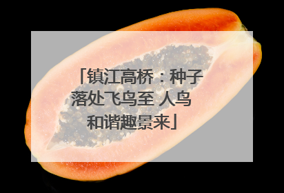 镇江高桥：种子落处飞鸟至 人鸟和谐趣景来