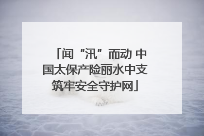 闻“汛”而动 中国太保产险丽水中支筑牢安全守护网
