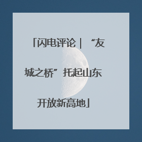 闪电评论｜“友城之桥”托起山东开放新高地