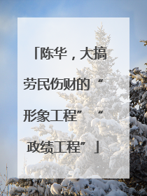 陈华，大搞劳民伤财的“形象工程”“政绩工程”