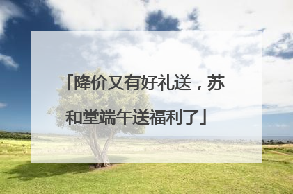 降价又有好礼送，苏和堂端午送福利了