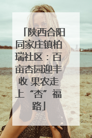 陕西合阳同家庄镇柏瑞社区：百亩杏园迎丰收 果农走上“杏”福路