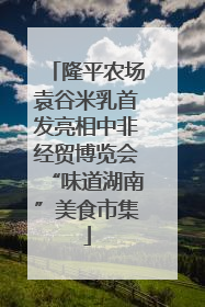 隆平农场袁谷米乳首发亮相中非经贸博览会“味道湖南”美食市集