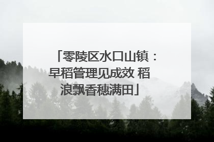 零陵区水口山镇：早稻管理见成效 稻浪飘香穗满田