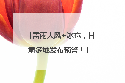 雷雨大风+冰雹，甘肃多地发布预警！