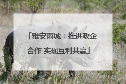雅安雨城：推进政企合作 实现互利共赢