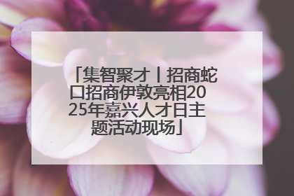 集智聚才丨招商蛇口招商伊敦亮相2025年嘉兴人才日主题活动现场