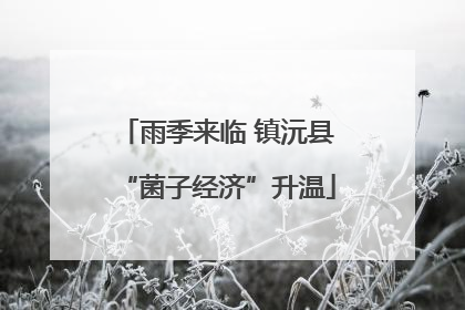 雨季来临 镇沅县“菌子经济”升温