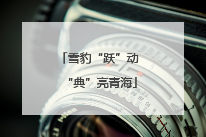 雪豹“跃”动 “典”亮青海
