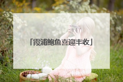 霞浦鲍鱼喜迎丰收