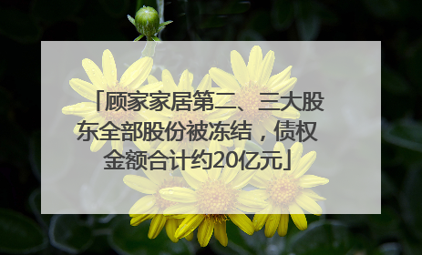 顾家家居第二、三大股东全部股份被冻结，债权金额合计约20亿元