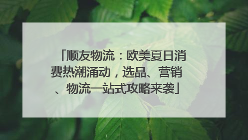 顺友物流：欧美夏日消费热潮涌动，选品、营销、物流一站式攻略来袭