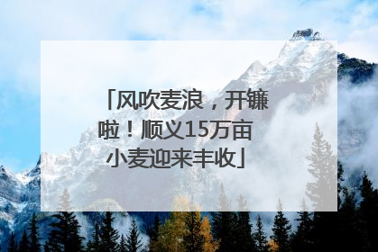 风吹麦浪，开镰啦！顺义15万亩小麦迎来丰收