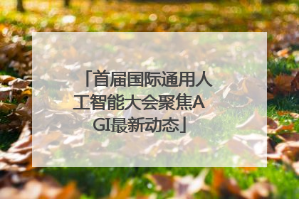首届国际通用人工智能大会聚焦AGI最新动态