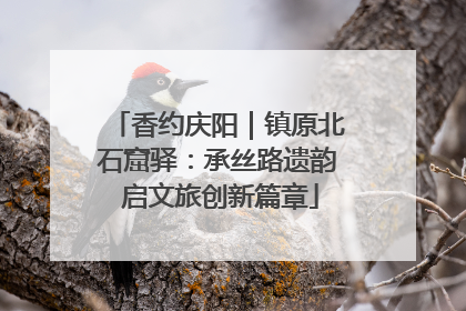 香约庆阳｜镇原北石窟驿：承丝路遗韵 启文旅创新篇章