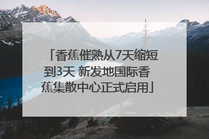 香蕉催熟从7天缩短到3天 新发地国际香蕉集散中心正式启用