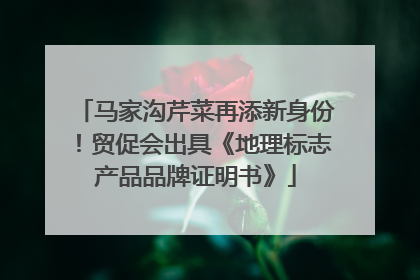 马家沟芹菜再添新身份!贸促会出具《地理标志产品品牌证明书》