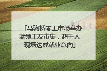 马驹桥零工市场举办蓝领工友市集，超千人现场达成就业意向