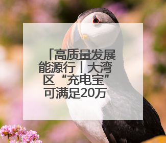 高质量发展能源行丨大湾区“充电宝”可满足20万户居民用电