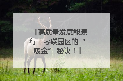 高质量发展能源行丨零碳园区的“吸金” 秘诀！