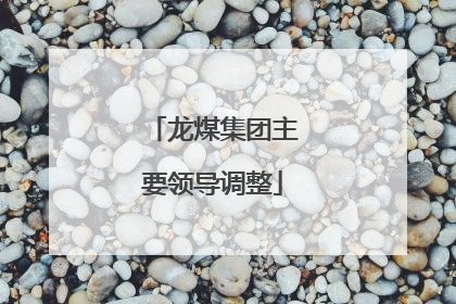龙煤集团主要领导调整