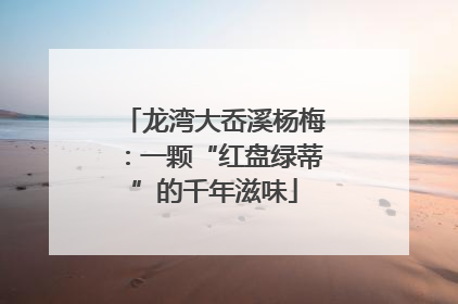 龙湾大岙溪杨梅：一颗“红盘绿蒂”的千年滋味