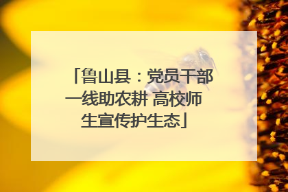鲁山县：党员干部一线助农耕 高校师生宣传护生态
