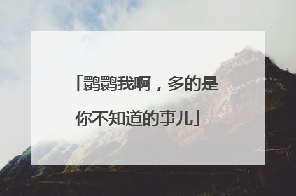 鹮鹮我啊，多的是你不知道的事儿