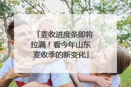 麦收进度条即将拉满！看今年山东麦收季的新变化