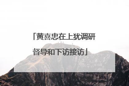 黄喜忠在上犹调研督导和下访接访