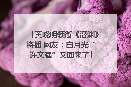 黄晓明领衔《潜渊》将播 网友：白月光“许文强”又回来了