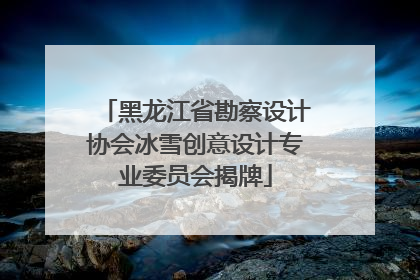 黑龙江省勘察设计协会冰雪创意设计专业委员会揭牌