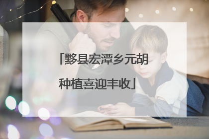 黟县宏潭乡元胡种植喜迎丰收