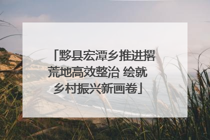 黟县宏潭乡推进撂荒地高效整治 绘就乡村振兴新画卷
