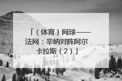 （体育）网球——法网：辛纳对阵阿尔卡拉斯（2）