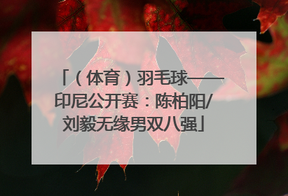 （体育）羽毛球——印尼公开赛：陈柏阳/刘毅无缘男双八强