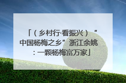 （乡村行·看振兴）“中国杨梅之乡”浙江余姚：一颗杨梅富万家