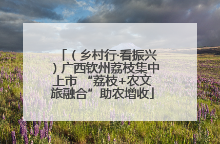 （乡村行·看振兴）广西钦州荔枝集中上市 “荔枝+农文旅融合”助农增收