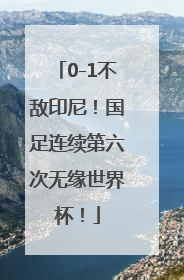 0-1不敌印尼！国足连续第六次无缘世界杯！