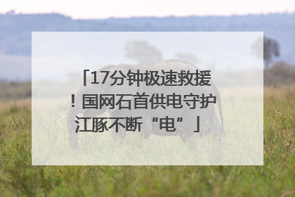 17分钟极速救援！国网石首供电守护江豚不断“电”